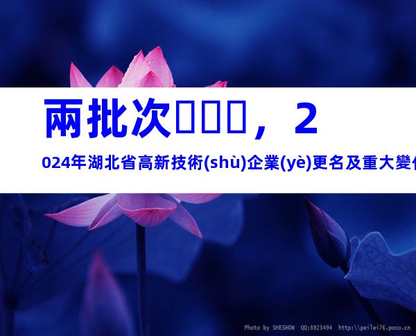 兩批次，2024年湖北省高新技術(shù)企業(yè)更名及重大變化申報(bào)時(shí)間、材料合集